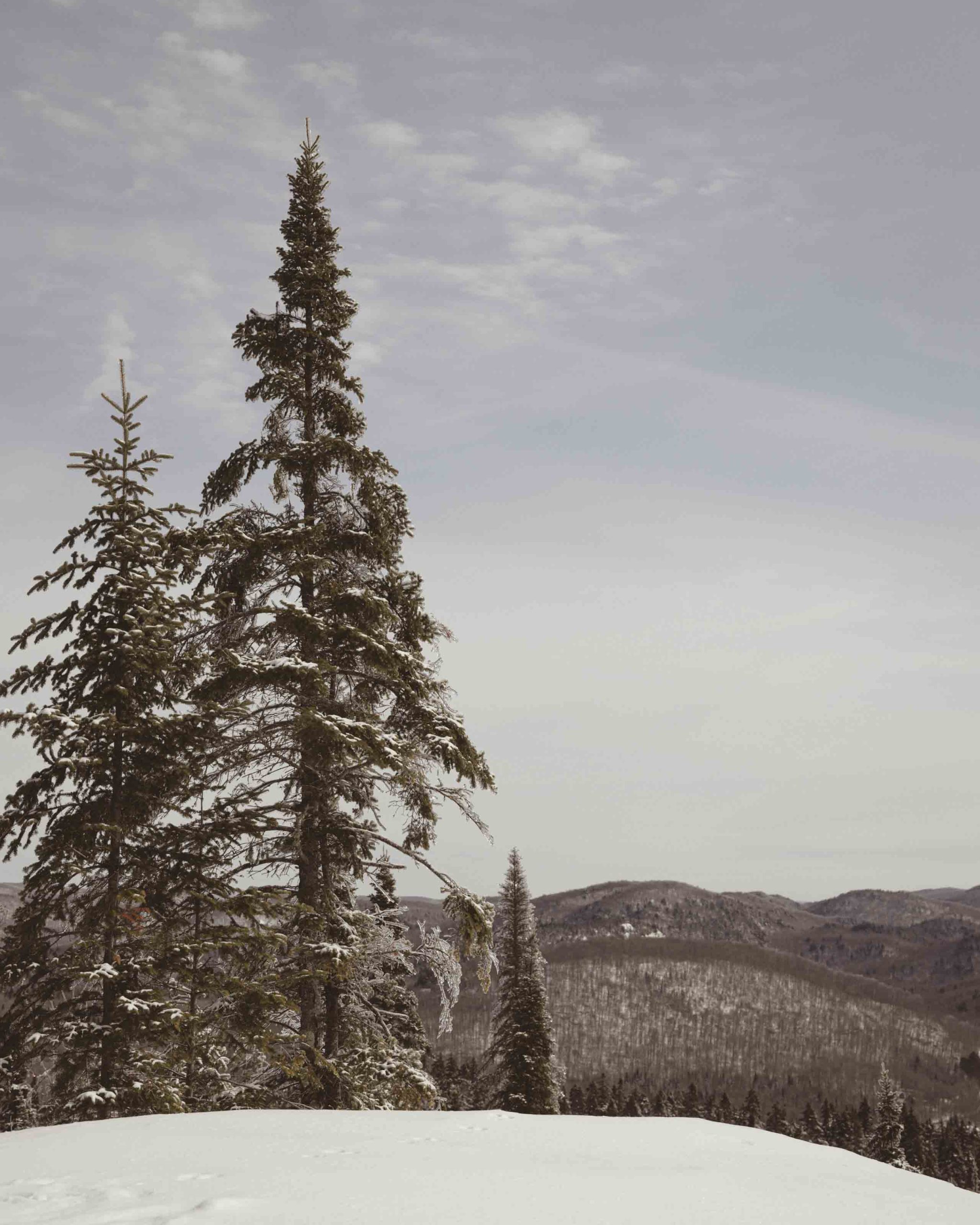Sentier Cap Bleuet | Mont-Blanc